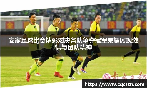 安家足球比赛精彩对决各队争夺冠军荣耀展现激情与团队精神