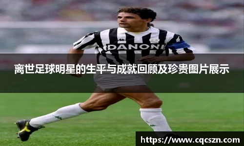 彩神VI首页官网